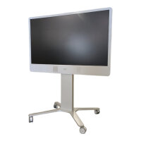 TelePresence MX300 G2 TTC60-19 55" with TouchControl...