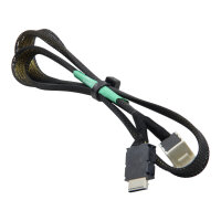 CBL-SAST-0920 SFF-8611 to SFF-8643 57 cm OCuLink Mini-SAS NVMe Kabel