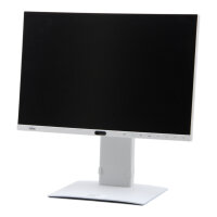 P24-8 WE Pro 24" FHD 1920x1080 300 cd/m2 5ms DP HDMI IPS PIVOT Monitor